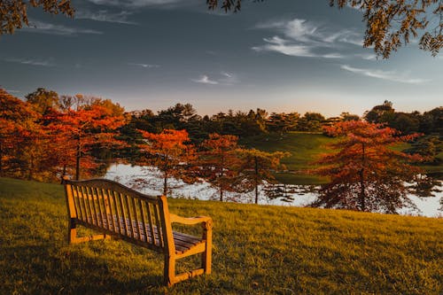 Wooden bench near lake against colorful trees