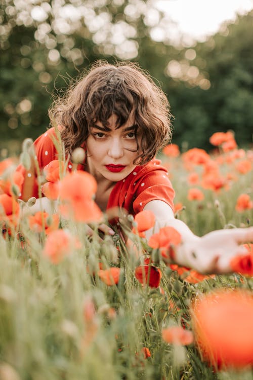 Free Woman Lying on The Grass Reaching Towards The Camera Stock Photo