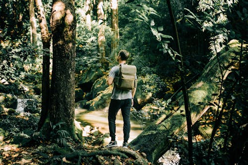 Back View of a Person Carrying a Backpack Standing on The Roots of a Tree