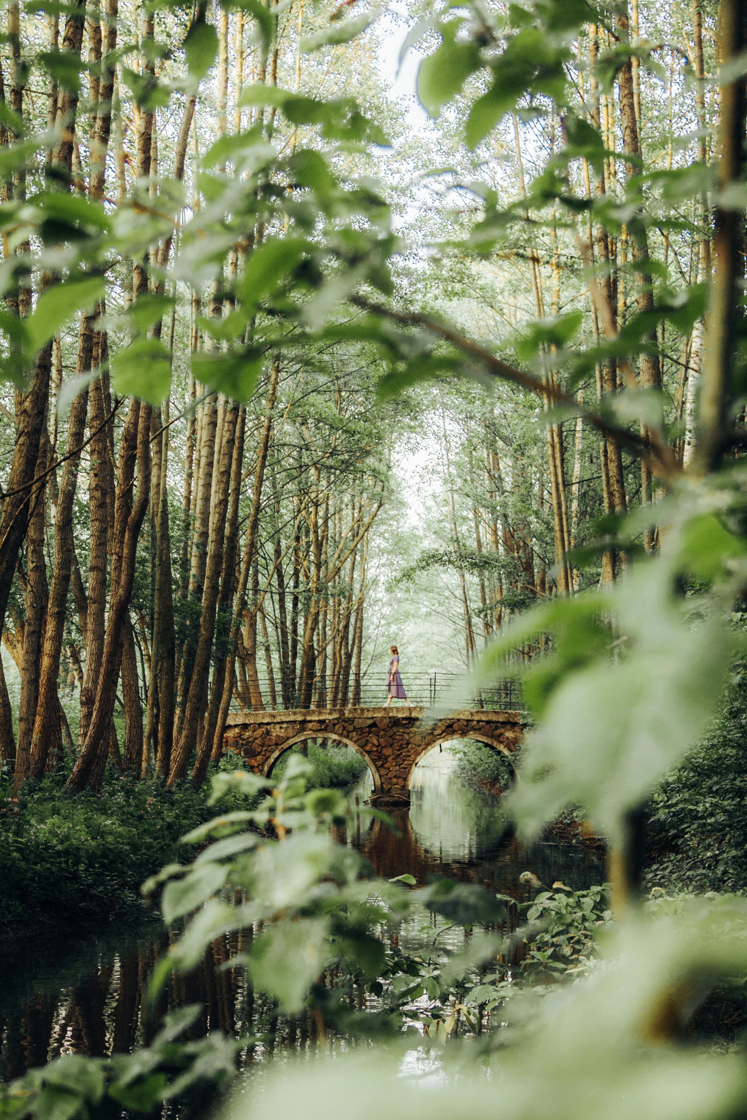 夏日森林中，石桥上，一个女人静静地站着，场景宁静
