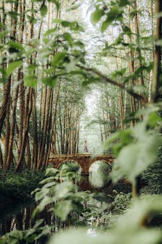 夏日森林中，石桥上，一个女人静静地站着，场景宁静
