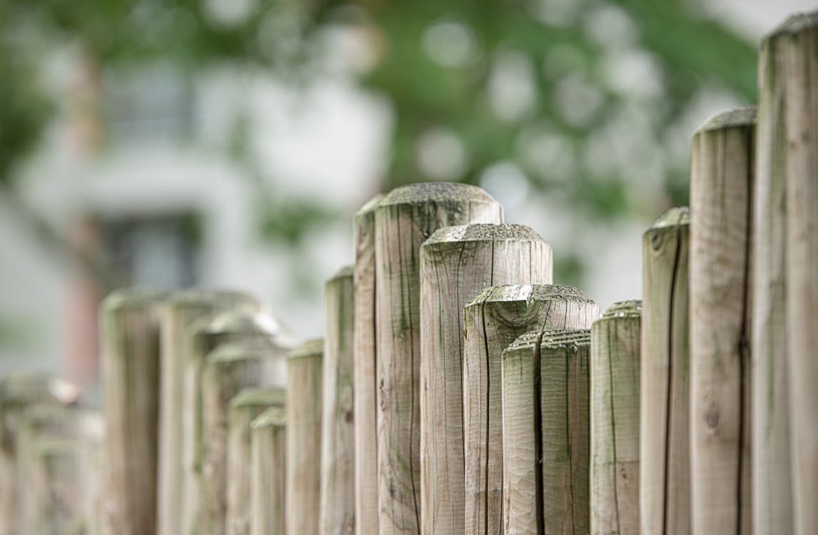 Free Brown Wooden Fence in Front Stock Photo