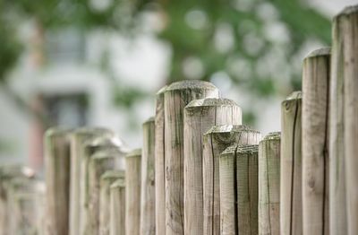 Close-up of a wood fence