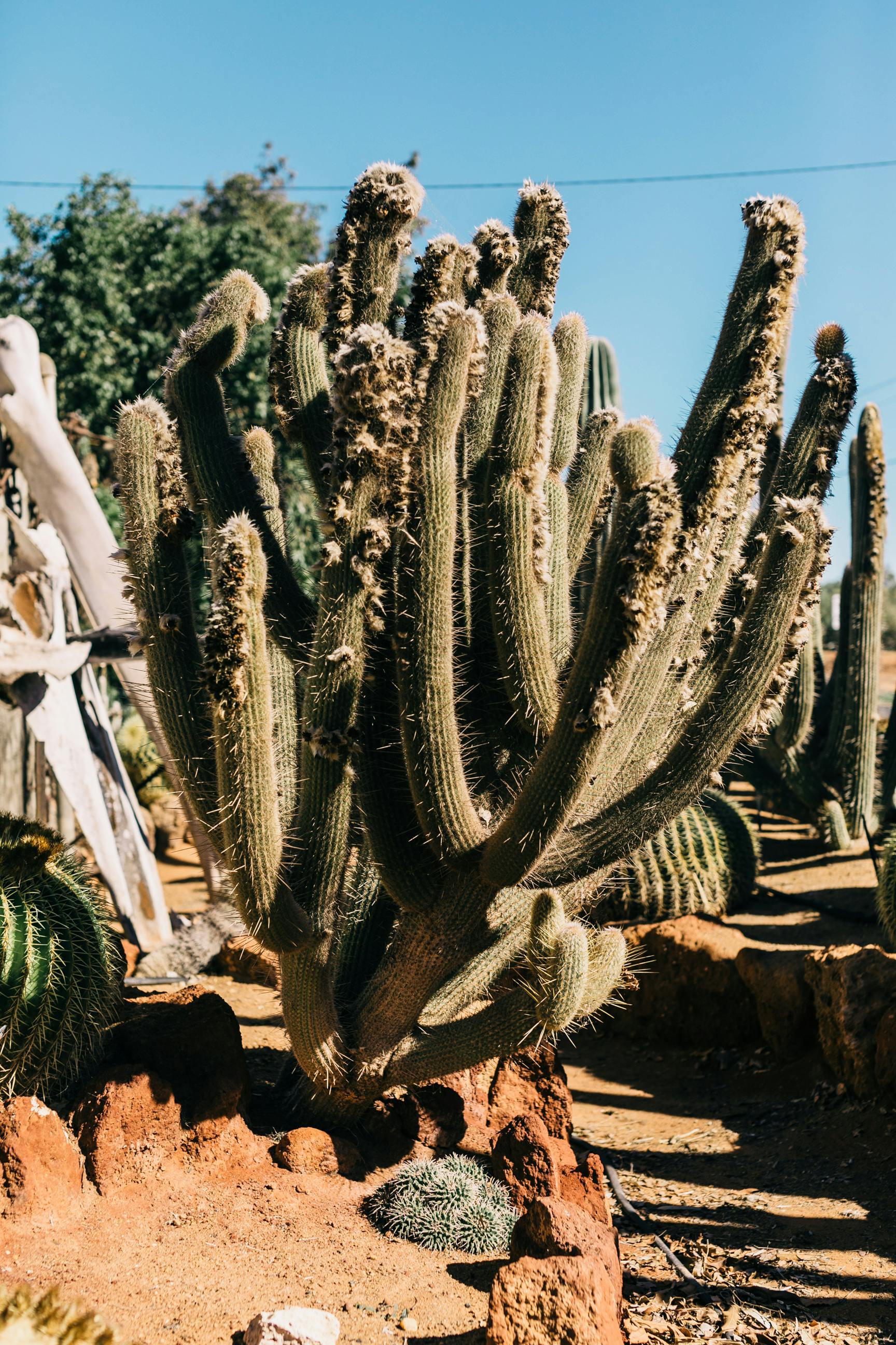 Photo by Rachel Claire