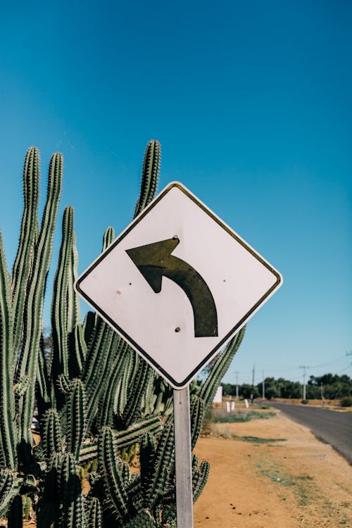 Roadway sign in desert land