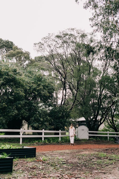 Full body back view of faceless woman in white casual clothes standing alone in yard surrounded by tall green trees in summer day under gray cloudless sky