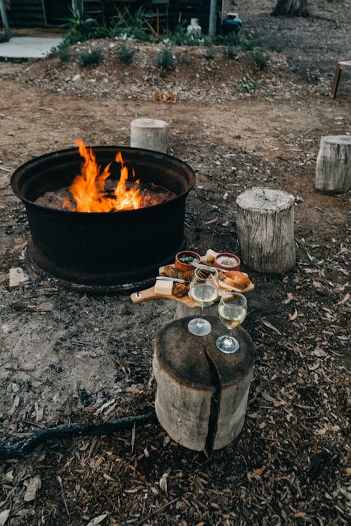 Bonfire near house and stumps in nature