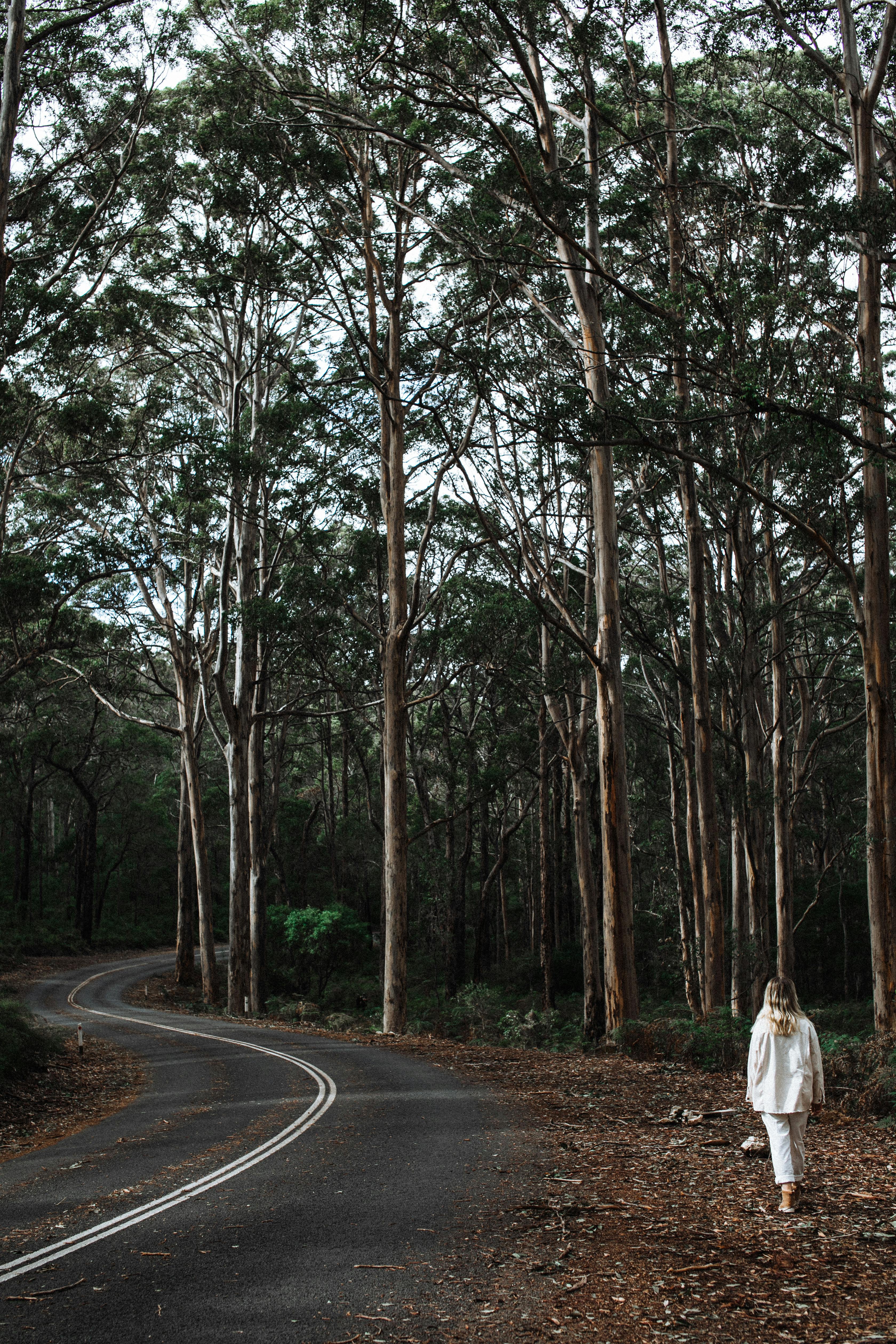 Free Anonymous lady walking on road in forest Stock Photo