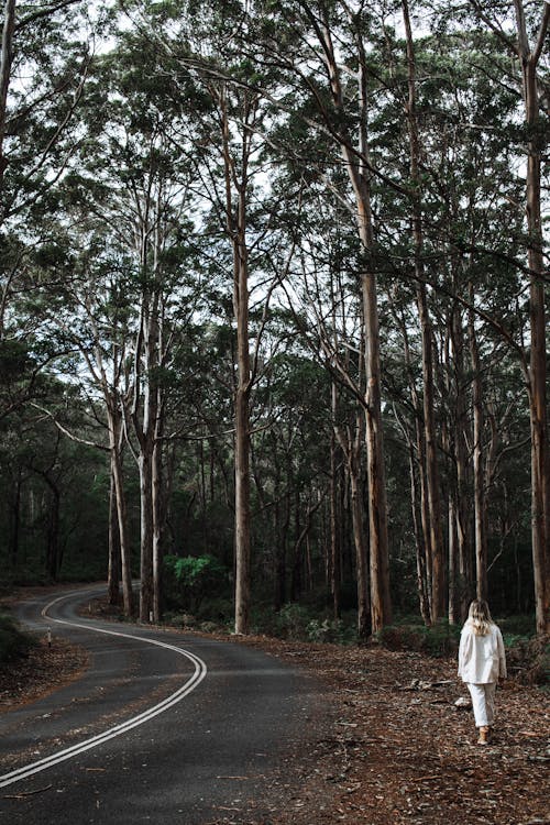 Free Anonymous lady walking on road in forest Stock Photo