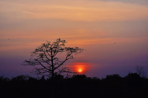 Δωρεάν στοκ φωτογραφιών με eveningingsky, eveningsun, naturelove