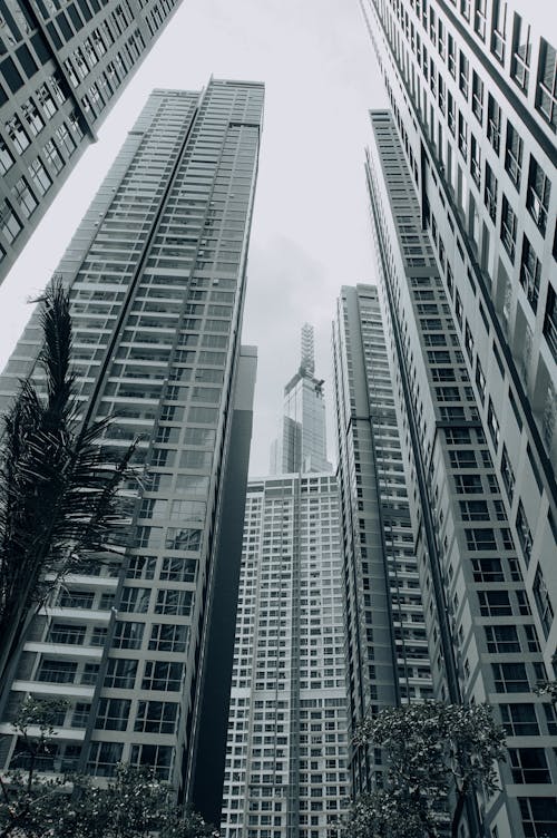 Grayscale Photo of High Rise Buildings