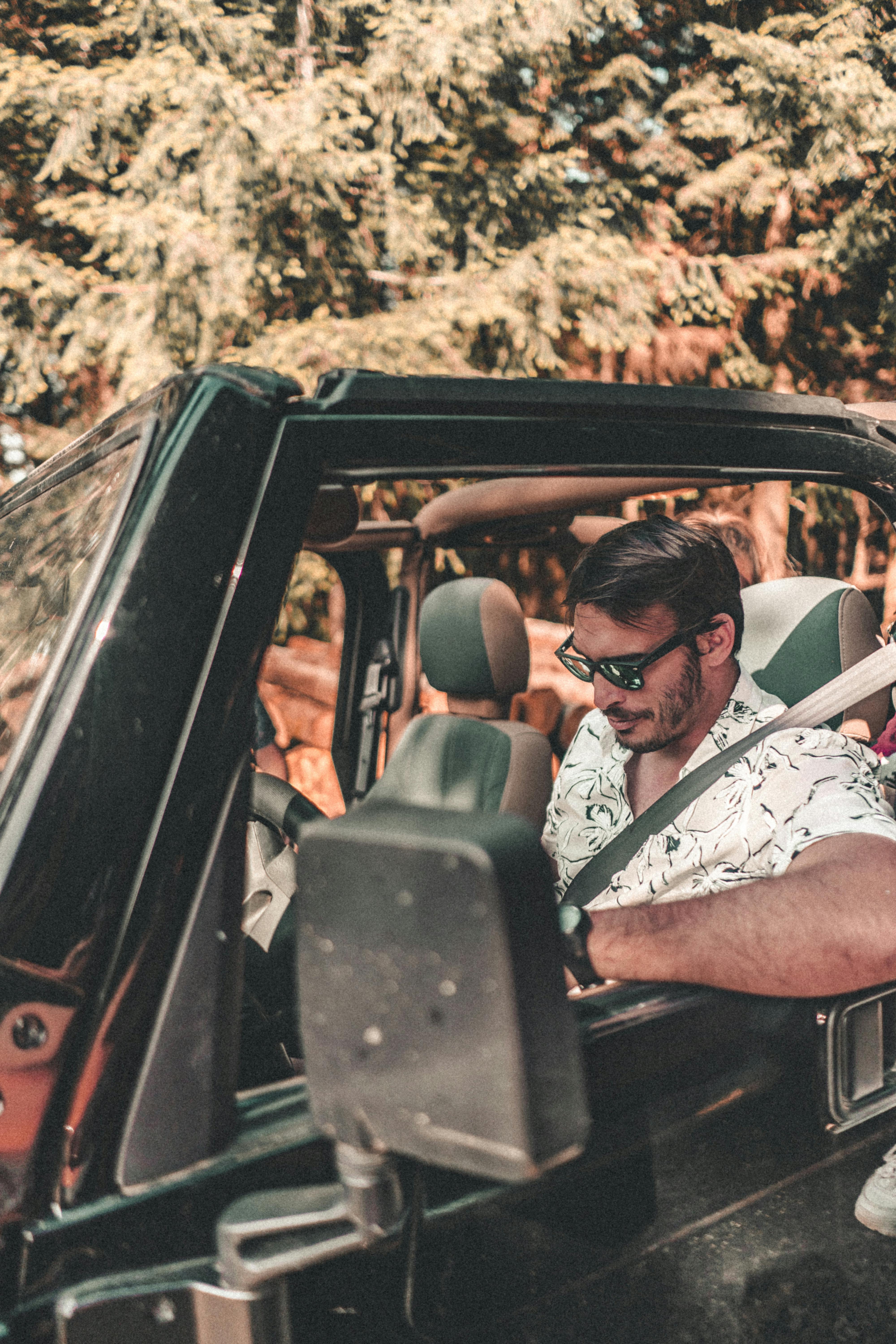 What drives metabolism?