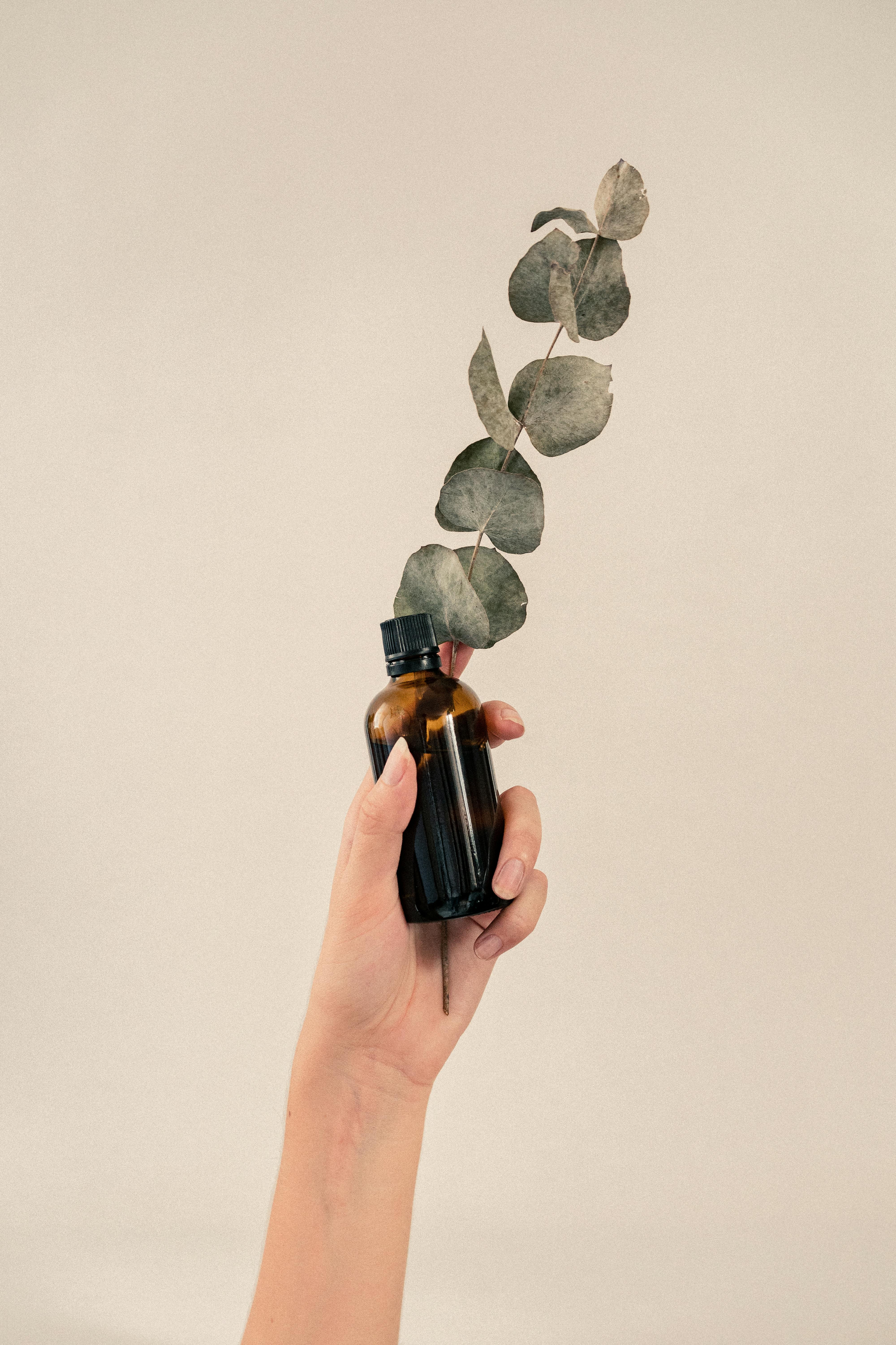 Aesthetic shot of a hand holding eucalyptus leaves in a glass bottle against a beige background.