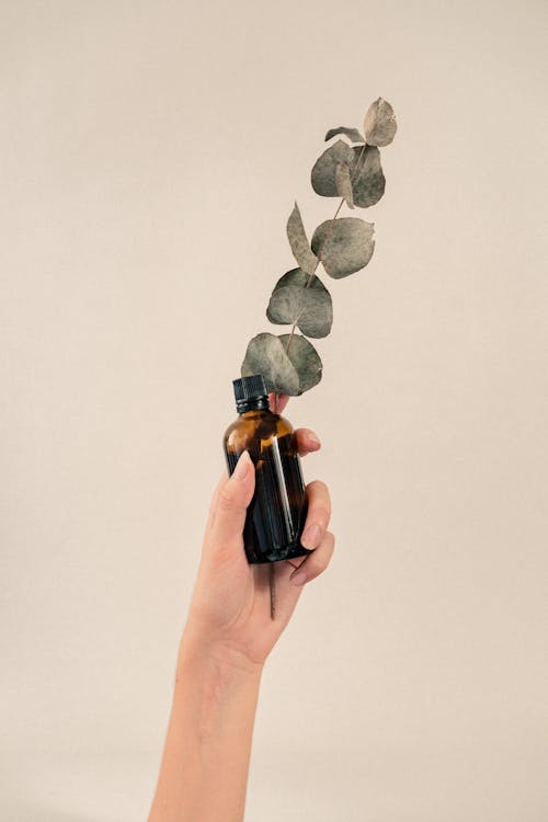 Person Holding a Glass Bottle and Eucalyptus Leaves