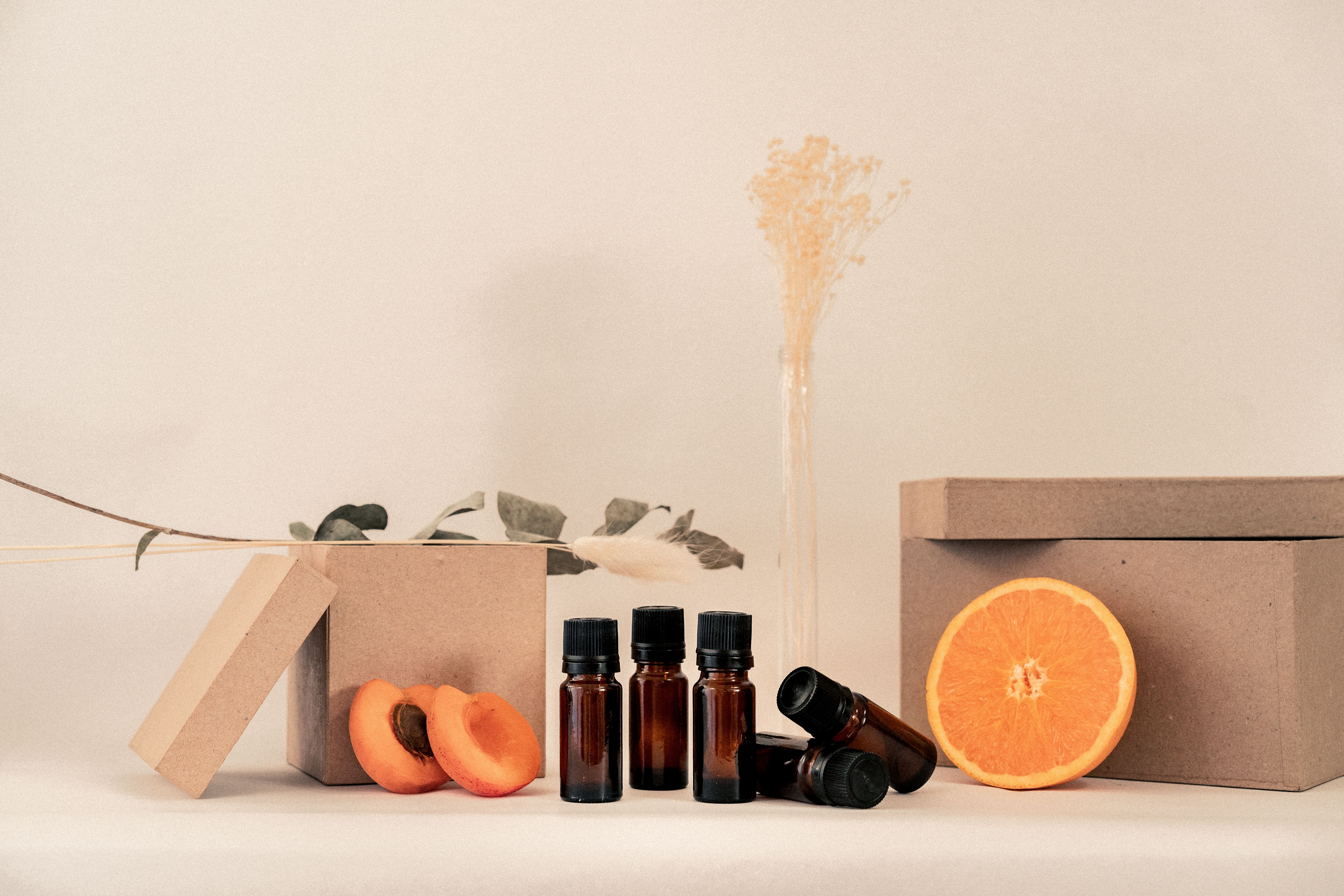 Minimalist arrangement of essential oil bottles with fresh citrus slices and green botanicals on a beige background
