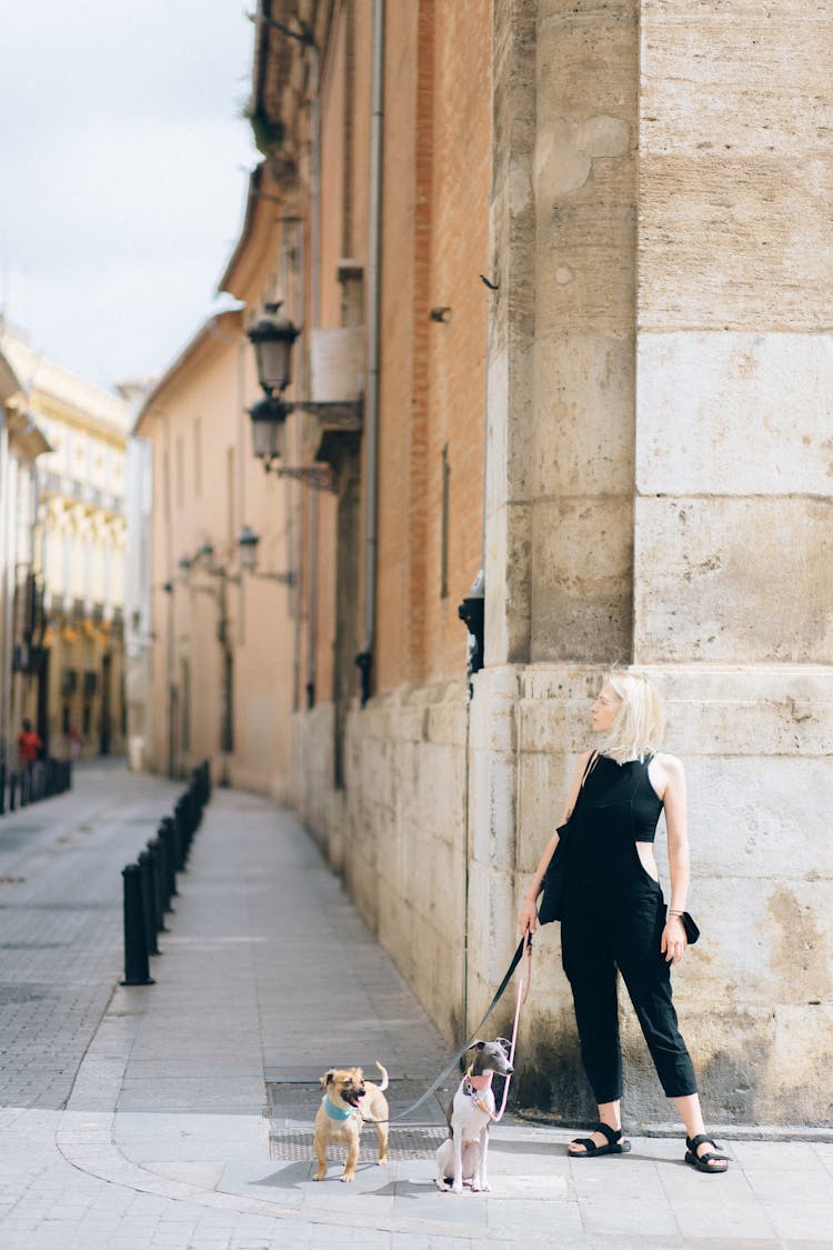 Woman With Her Pet Dogs Standing On The Corner Of A Building