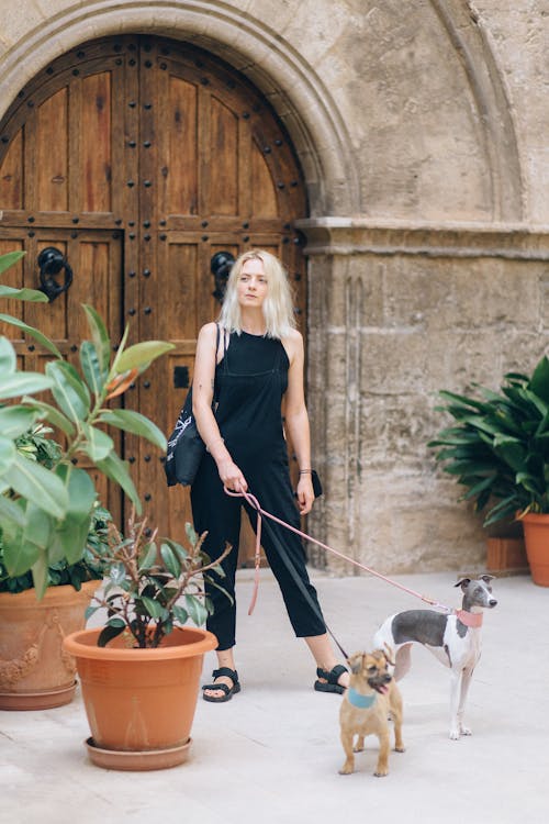 Free Photo of a Woman Standing Near Plants with Her Dogs Stock Photo