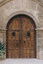 Brown Wooden Door With Green Plant