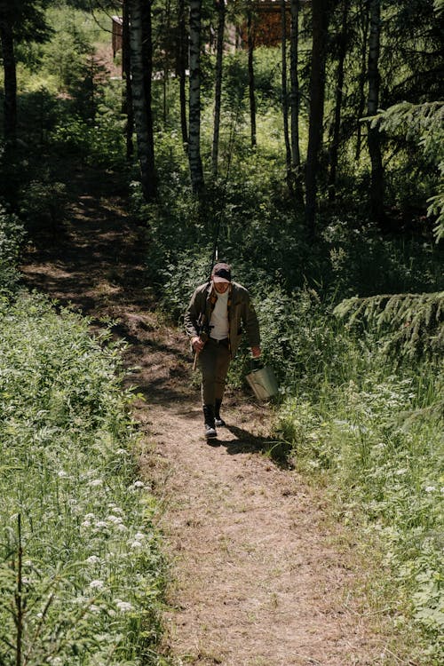 Základová fotografie zdarma na téma cesta, houští, krajina