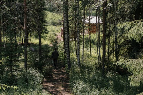 Man in Black Jacket Walking on Forest