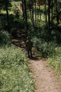 阳光明媚的森林小径上，一个人走过，四周绿树郁郁葱葱