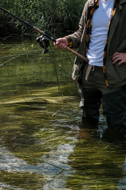 Free A man stands in shallow water fishing, surrounded by algae and aquatic plants. Stock Photo