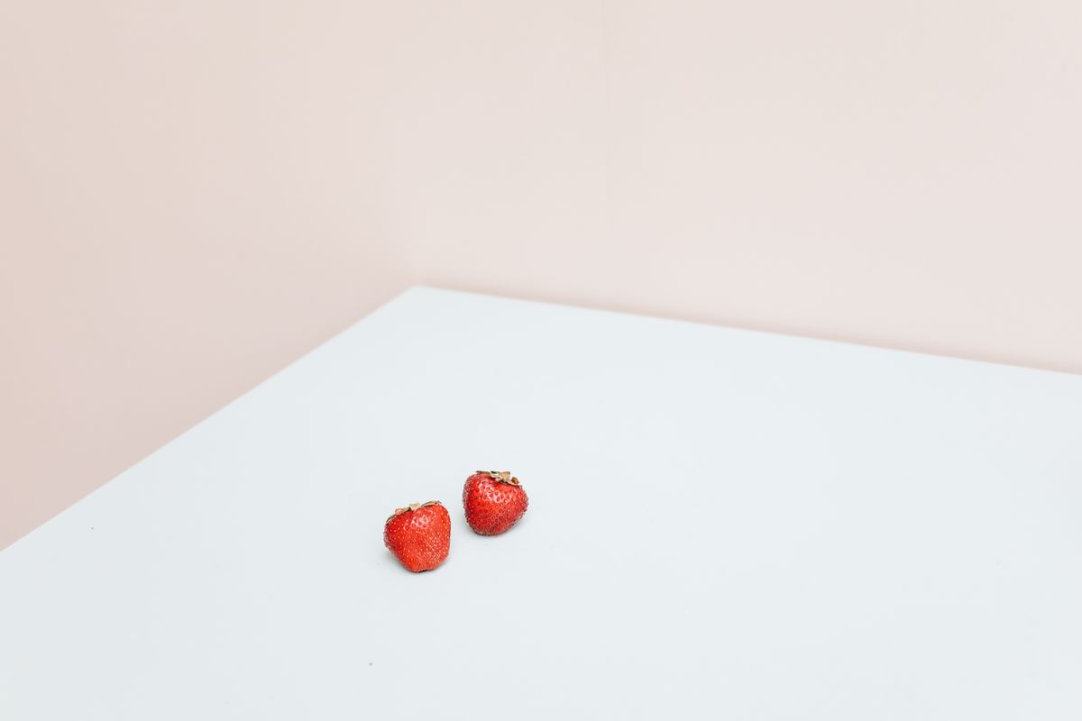 fraise pour les chien - Fraises et autres fruits : que peut manger un chien ?