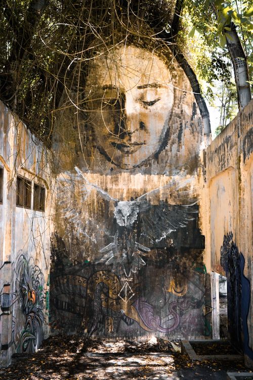 Free Explore captivating graffiti and murals in an abandoned building's interior. Stock Photo