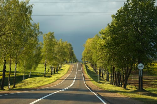 açık yol, ağaçlar, asfalt yok içeren Ücretsiz stok fotoğraf