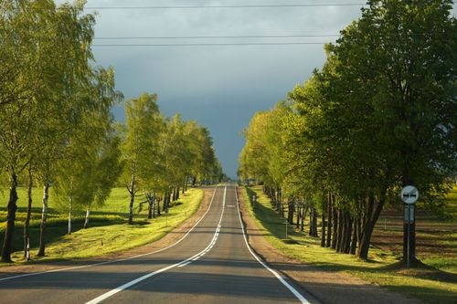 Free Peaceful highway lined with lush trees under a cloudy sky. Stock Photo