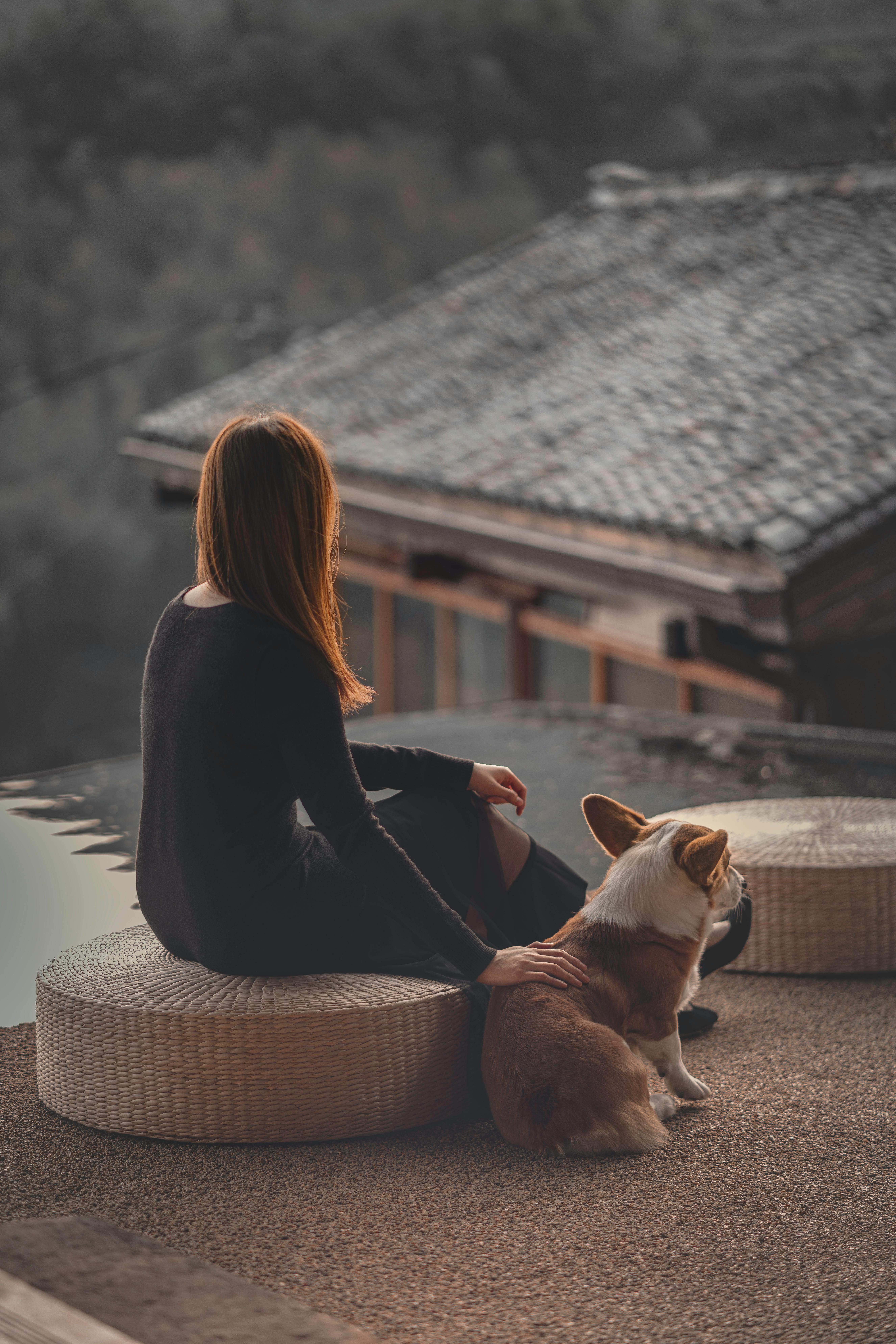 Faceless woman sitting against rural house and stroking cute Corgi