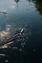 White and Red Fishing Rod on Water
