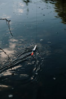 平静的湖面上，钓鱼漂浮物的特写激起涟漪，倒映着天空