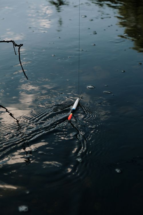Free Close-up of a fishing float creating ripples on a calm lake reflecting the sky. Stock Photo