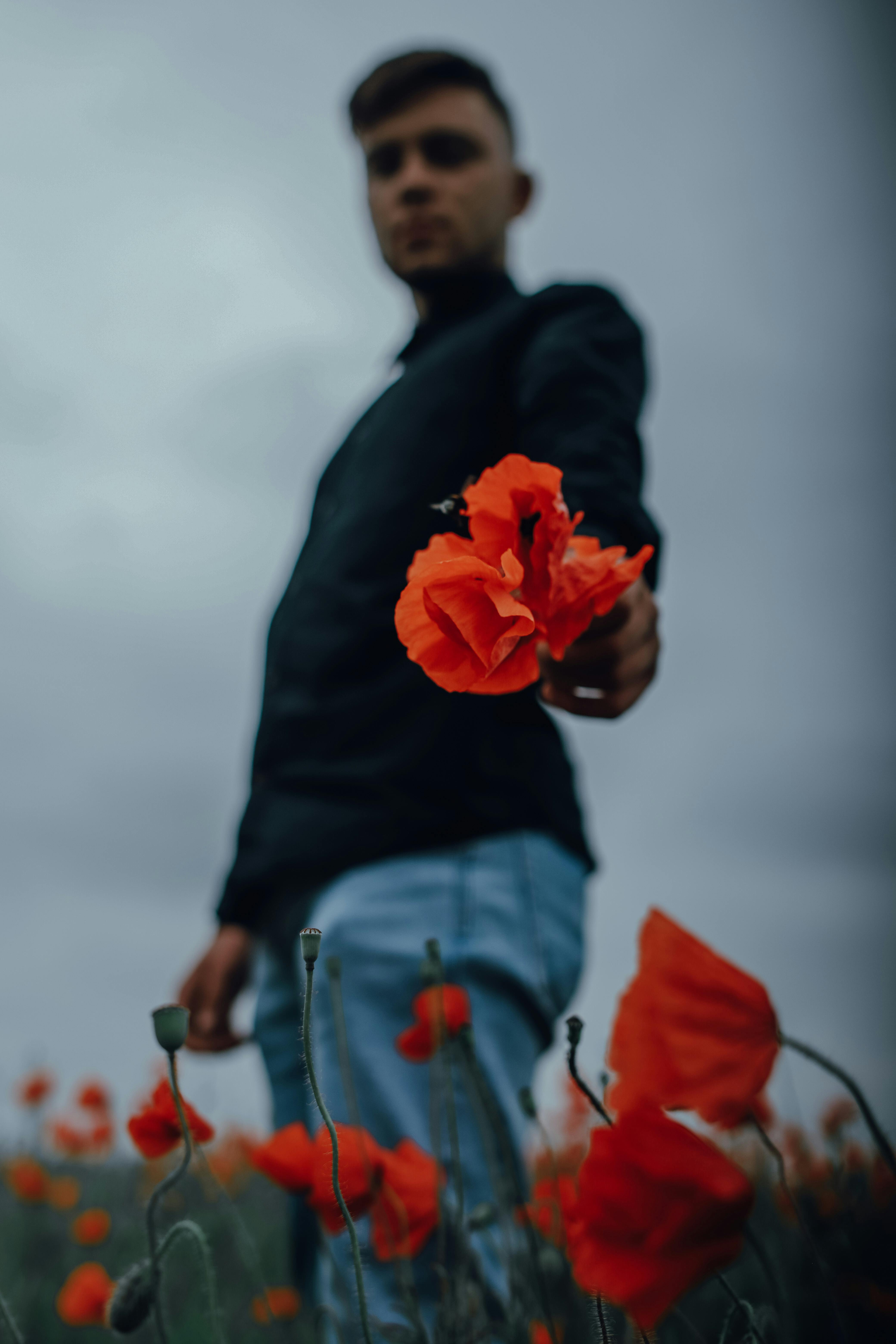 A man holds a vivid poppy flower in focus against a blurred outdoor backdrop.
