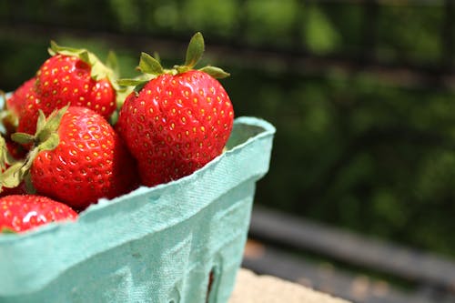 Kostenloses Stock Foto zu beeren, erdbeeren, essen