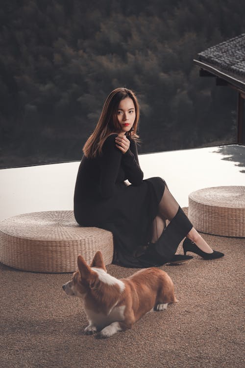 Free Side view full length elegant female wearing classy black dress sitting on open terrace near adorable Corgi dog against blurred tranquil forest and looking at camera Stock Photo