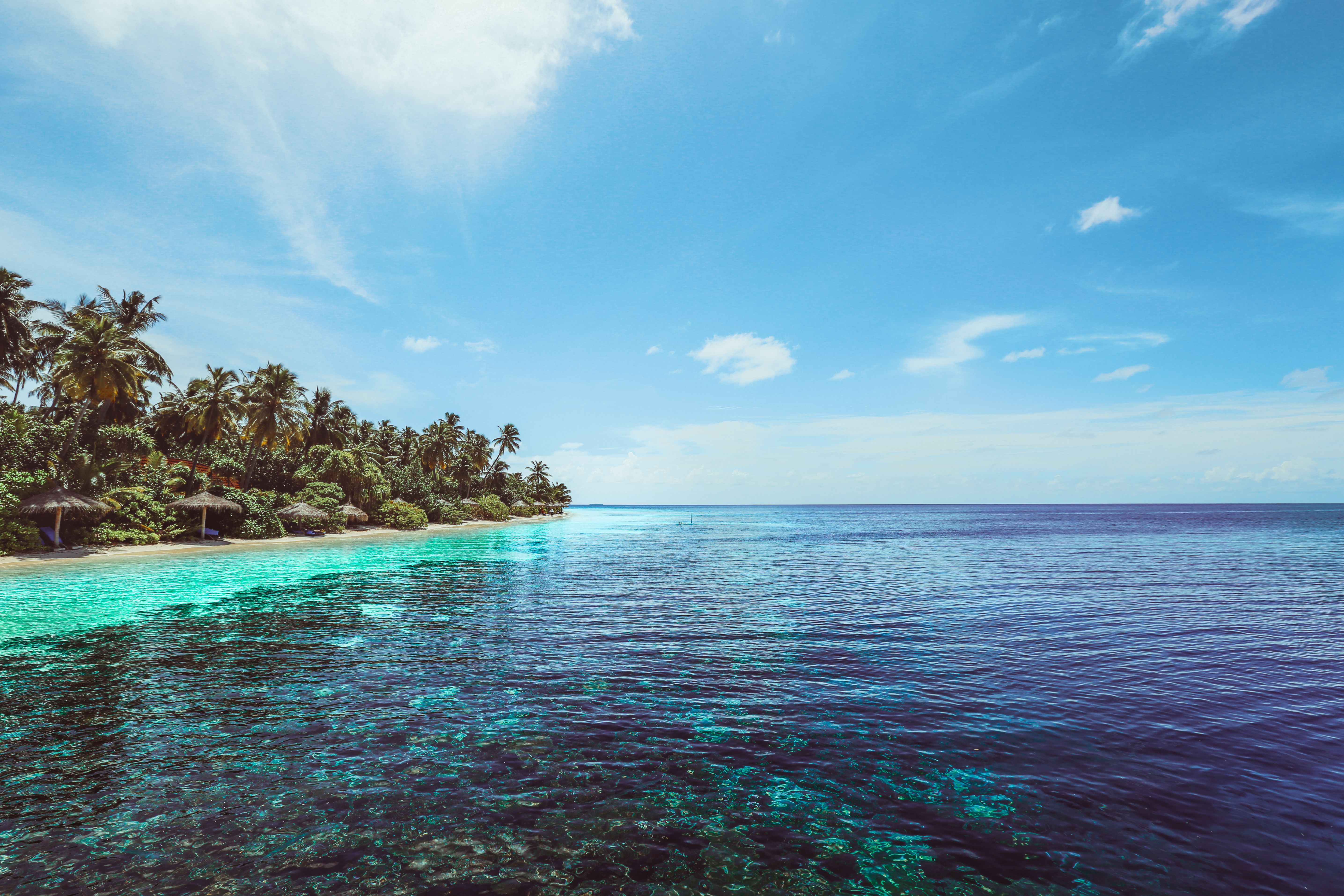 Discover tranquility at a tropical beach with stunning turquoise waters and lush greenery under a clear blue sky.