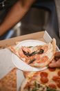 Person Holding Sliced Pizza on White Ceramic Plate