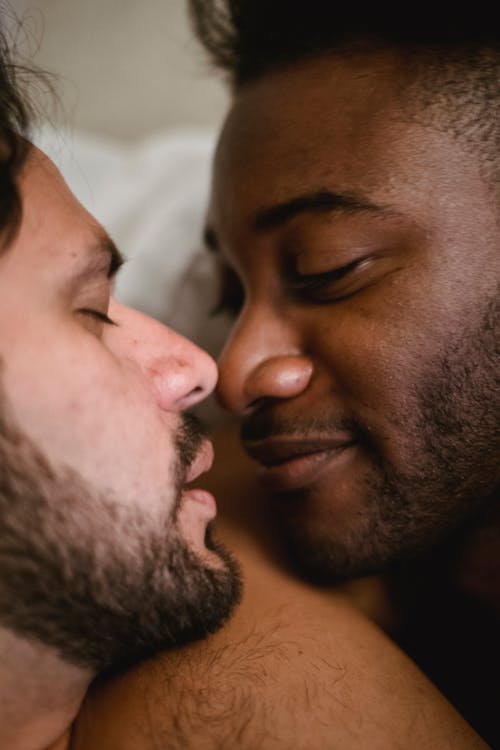 Darmowe zdjęcie z galerii z broda, całowanie, gej