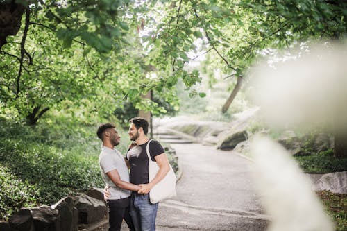 Immagine gratuita di alberi, borsa, capelli corti