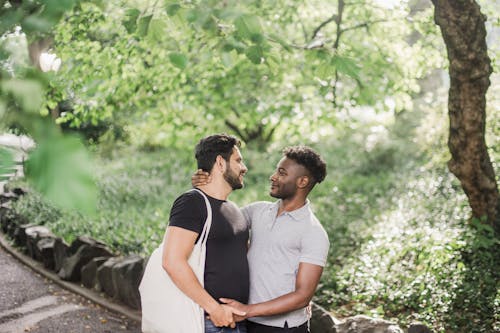 무료 게이 커플, 공원, 껴안고 있는의 무료 스톡 사진