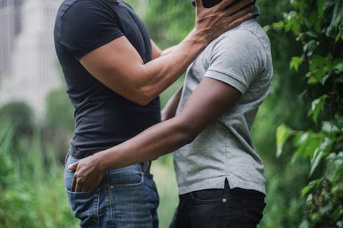 Kostnadsfria Kostnadsfri bild av homosexuellt par, omfamna, stående Stock foto