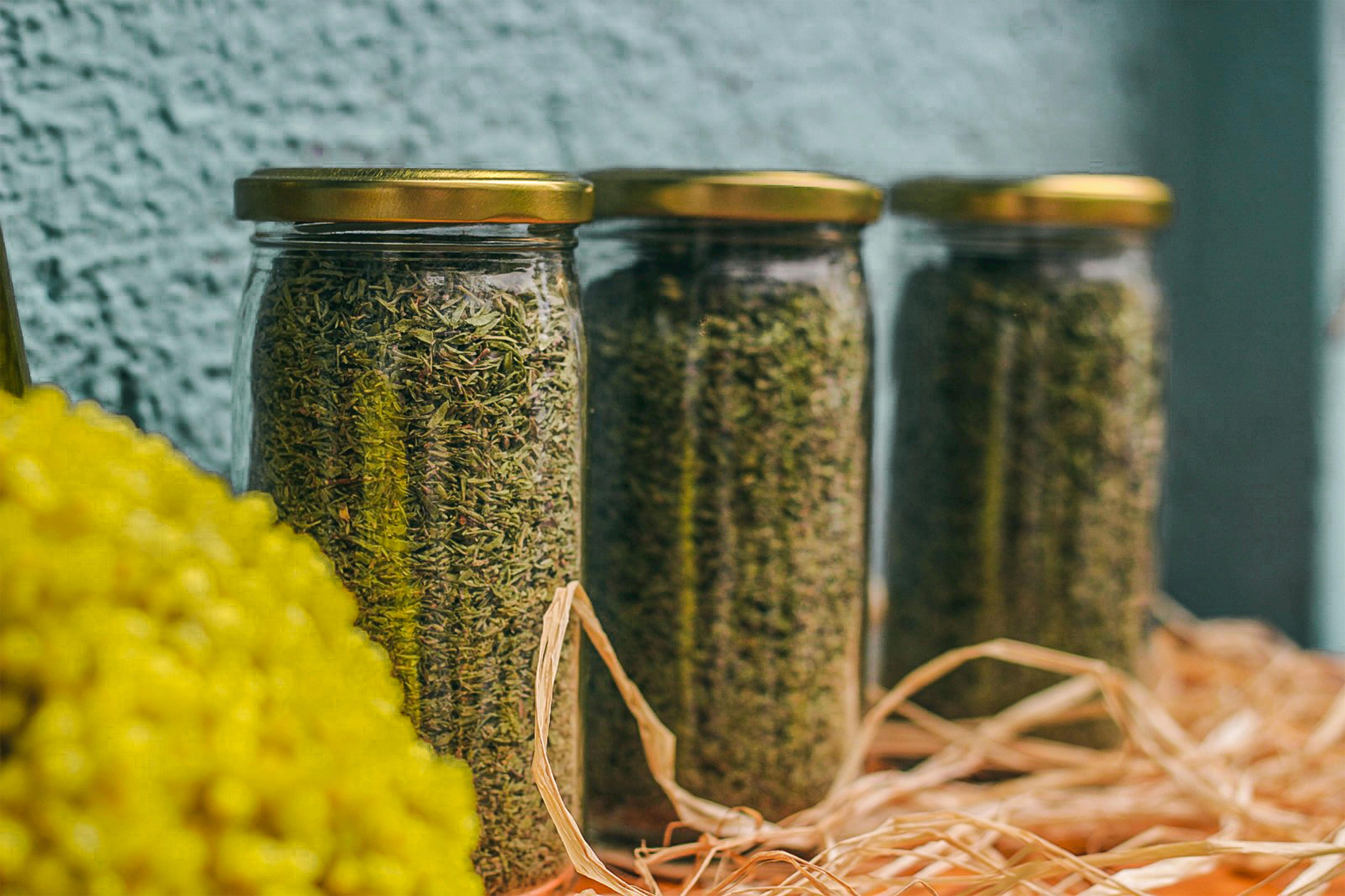 Fresh herbs in glass jar — Dicas da Vovó