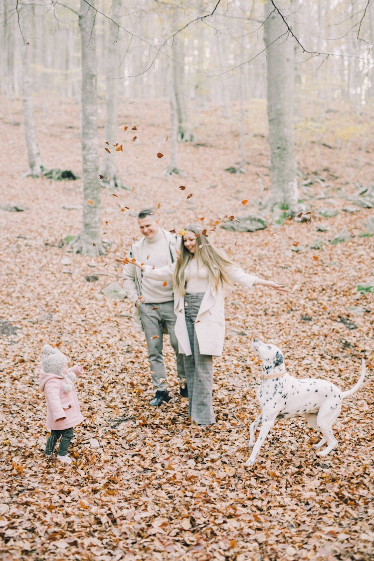 Couple And A Baby Walking On Fallen Leaves