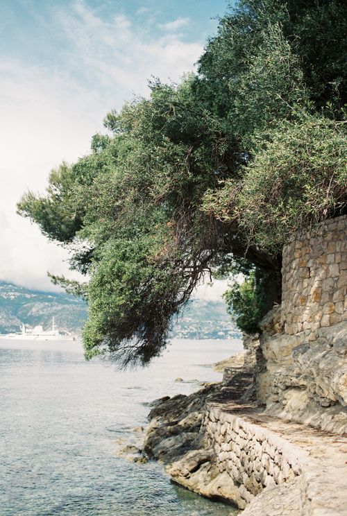 Free Explore a serene coastal path with lush trees and stone walls overlooking the calm sea. Stock Photo