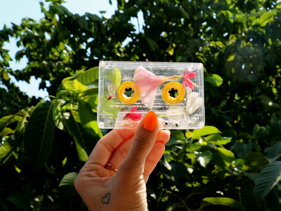 Photo by Disha Sheta