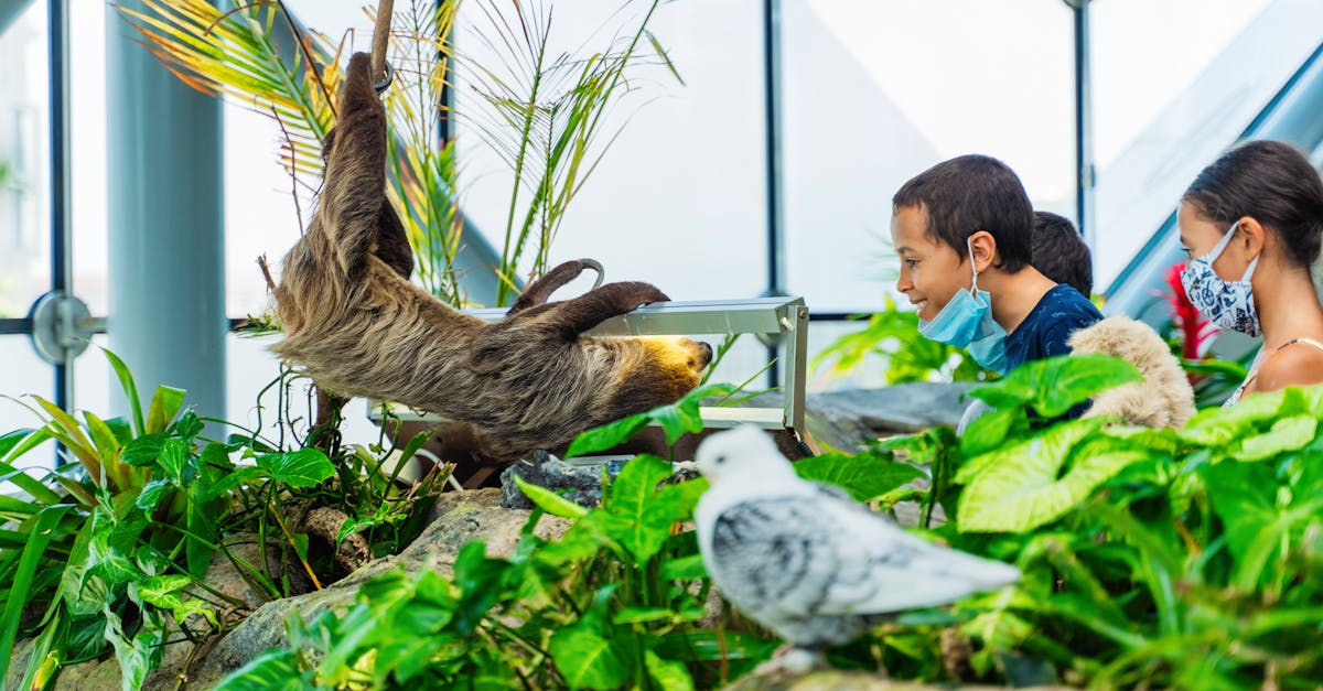 Les Meilleurs Zoos à Visiter en France