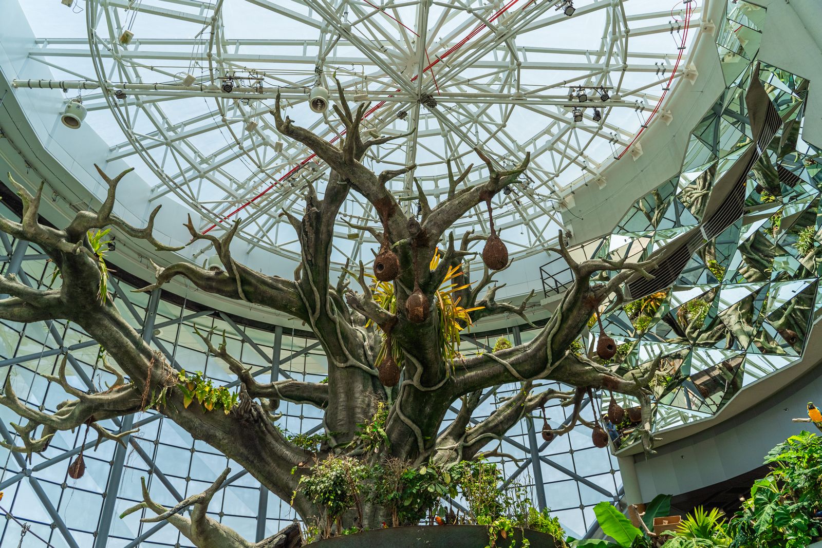 Artificial rainforest tree with hanging nests under the glass dome of The Green Planet, Dubai
