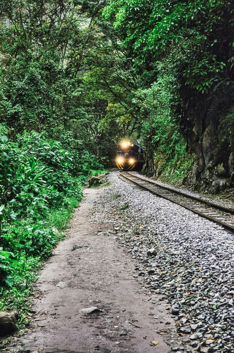 O trem chegando pela floresta em Aguas Calientes